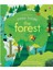 Peep Inside The Forest 1