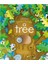 Peep Inside: a Tree 1