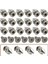100 Paket Çivili ve Saplamalar 9,5 mm Giysiler Için Çivili Metal Saplamalar Perçinler (Yurt Dışından) 4