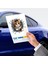 Fulcar Stray Araç Stickerı 2