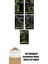 Swamp Thing Efsanesi 5 Kitap Takım + Okuma Sticker'ları 1