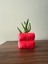 Kapitone Desenli Renkli Saksı - 6cm x 6cm -Modern Dekoratif Saksı (Bitkisiz Gönderilir) 1