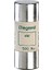 015096 Kartuş Sigorta 100A Pimsiz 22X58 1