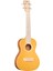 Cordoba 15CM Matiz Concert Ukulele ( Mango) 1