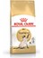 Cat Fbn Siamese Kedi Maması 2 kg 2