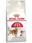 FIT32 Regular Yetişkin Kedi Maması 2kg 1
