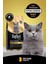 Plus British Shorthair Yetişkin Kedi Maması 1,5 kg 1