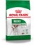 ® Mini Yetişkin Köpek Maması 2 kg 2