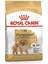 Pomeranıan Adult Yetişkin Köpek Maması 3 kg 1
