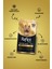 Plus Hypoallergenic Yorkshire Terrier Yetişkin Köpek Maması 2 kg 2
