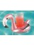 Flamingo Havuz Kokteyl & Içecek Tutucu Simit 1