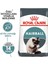 Hairball Care 2 kg Tüy Yumağı Için Kedi Maması 1