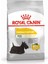 Ccn Mini Dermacomfort Adult Küçük Irk Yetişkin Köpek Maması 3 kg - Petshopundan 2