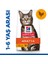 Hill’s Scıence Plan Optimal Care Tavuklu Yetişkin Kedi Maması 15 kg 1