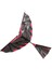 Karbon Fiber Model Uçak Montajı Çırpan Kanatlı Uçak Diy Model Uçak Pterosaur Lastik Bant Biyonik Uçak (Yurt Dışından) 2