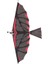 Karbon Fiber Model Uçak Montajı Çırpan Kanatlı Uçak Diy Model Uçak Pterosaur Lastik Bant Biyonik Uçak (Yurt Dışından) 3