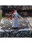 Nessiworld Schleich Albus Dumbledore Fawkes 42637 3
