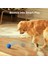 Akıllı İnteraktif Köpek Oyuncağı, Mavi 7 X 7 X 7 Cm 5