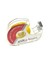 Bant Kesicili Bant 12MM x 33M - 2 Adet 1