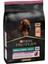 Sensitive Skin Small & Mini Somonlu Küçük Irk Köpek Maması 3 Kg 1