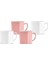 Lavin 4'lü Mug Seti 370 ml 1