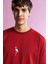 Flamingo Lightweight T-Shirt - Kiremit 4