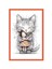 Sevimli Kedi Tasarımlı Hediye Kartları & Karpostallar | 10X15 cm 1
