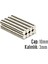 Neodyum Mıknatıs Silindir Çap 10MM , Kalınlık 3mm ( 10 Adet) 1