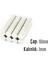 Neodyum Mıknatıs Silindir Çap 10MM , Kalınlık 1mm ( 10 Adet) 1