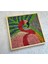 Flamingo Figürlü Renkli Yosun Duvar Dekoru | 45X45 cm | El Yapımı Tropikal Temalı Doğal Yosun Tablo | Bakım Gerektirmez 7