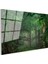 Sis Ormanı - Yeşil Yapraklar Arasında Işık Huzmeleri Cam Tablo 3