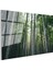 Bambu Ormanı - Göğe Uzanan Yeşil Sütunlar Cam Tablo 3