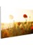 Gelincik Tarlası - Altın Sarısı Günbatımında Kırmızı Çiçekler Cam Tablo 3