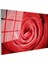 Kırmızı Gül - Makro Çekim Çiçek Portresi Cam Tablo 3