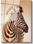 Zebra Portresi - Çizgili Zarafet Cam Tablo 2
