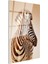 Zebra Portresi - Çizgili Zarafet Cam Tablo 3