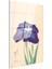 Ohara Koson - Mor Iris Çiçeği Japon Tarzı Illüstrasyon Cam Tablo 3