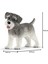 Farm World Minyatür Schnauzer 5