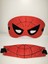 Örümcek Adam Maske Avengers Maske 20 cm 2