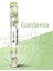 Elite Gardenia Çubuk Tütsü - 20 Adet 1 Adet 1