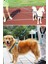 Reflektörlü Fosforlu Köpek Gezdirme Halatı Tasma Kayışı Metal Kancalı 130 cm 7
