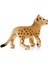 Wild Life Yavru Aslan 4