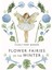 Flower Fairies Of The Winter 1