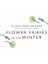 Flower Fairies Of The Winter 2