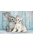 Clementonı 500 El. Compact Cat & Bunny [puzzle] 2