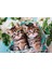 Clementonı 60 El. Super Kolor Lovely Kitty Twins [puzzle] 2