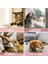 Dondurma Şeklinde Kedi Nanesi Kedi Otu 3