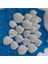 Karışık 75GR Deniz Kabukları, Teraryum ve Akvaryum Süsü, 1,5-2,5cm, Ufak Çeşitler 2
