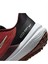 Wmns Air Winflo 9 Kadın Kırmızı Koşu Ayakkabısı DD8686-601 4