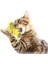 Buffer® Pet Malzemeleri Vantuzlu Fırıldak Toplu Dönen Şeffaf Depo Tasarım Interaktif Kedi Oyuncağı 5